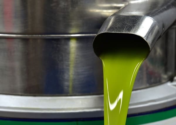 AGQ Labs México|Análisis de Aceites y Aceitunas