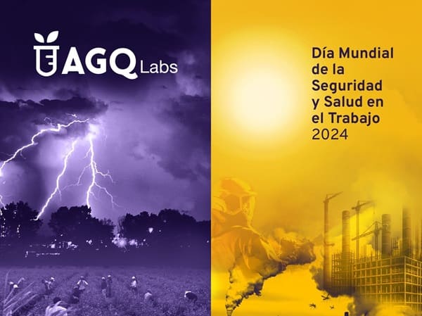 Día mundial de la seguridad y la salud en el trabajo en México