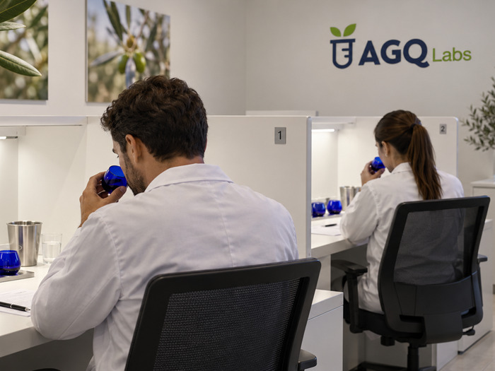 AGQ Labs México | Análisis de Aceites y Aceitunas Panel de cata de aceite de oliva acreditado